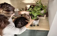 Cuisines Elite Easytouch, Vert minéral ultra-mat 2