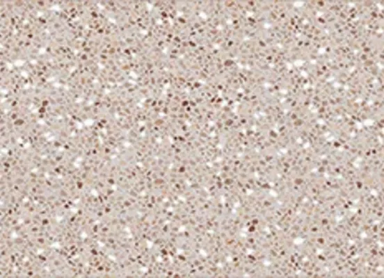 Décor Terrazzo naturel Décor Terrazzo naturel