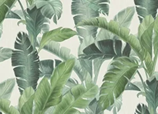 Décor jungle urbaine