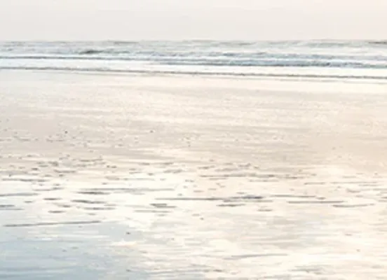 Décor plage